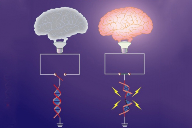 MIT-DNA-Break_0