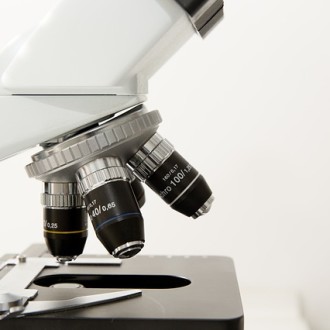 microscopio